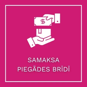 BEZMAKSAS PIEGĀDE NO EUR 79